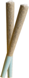 nugs